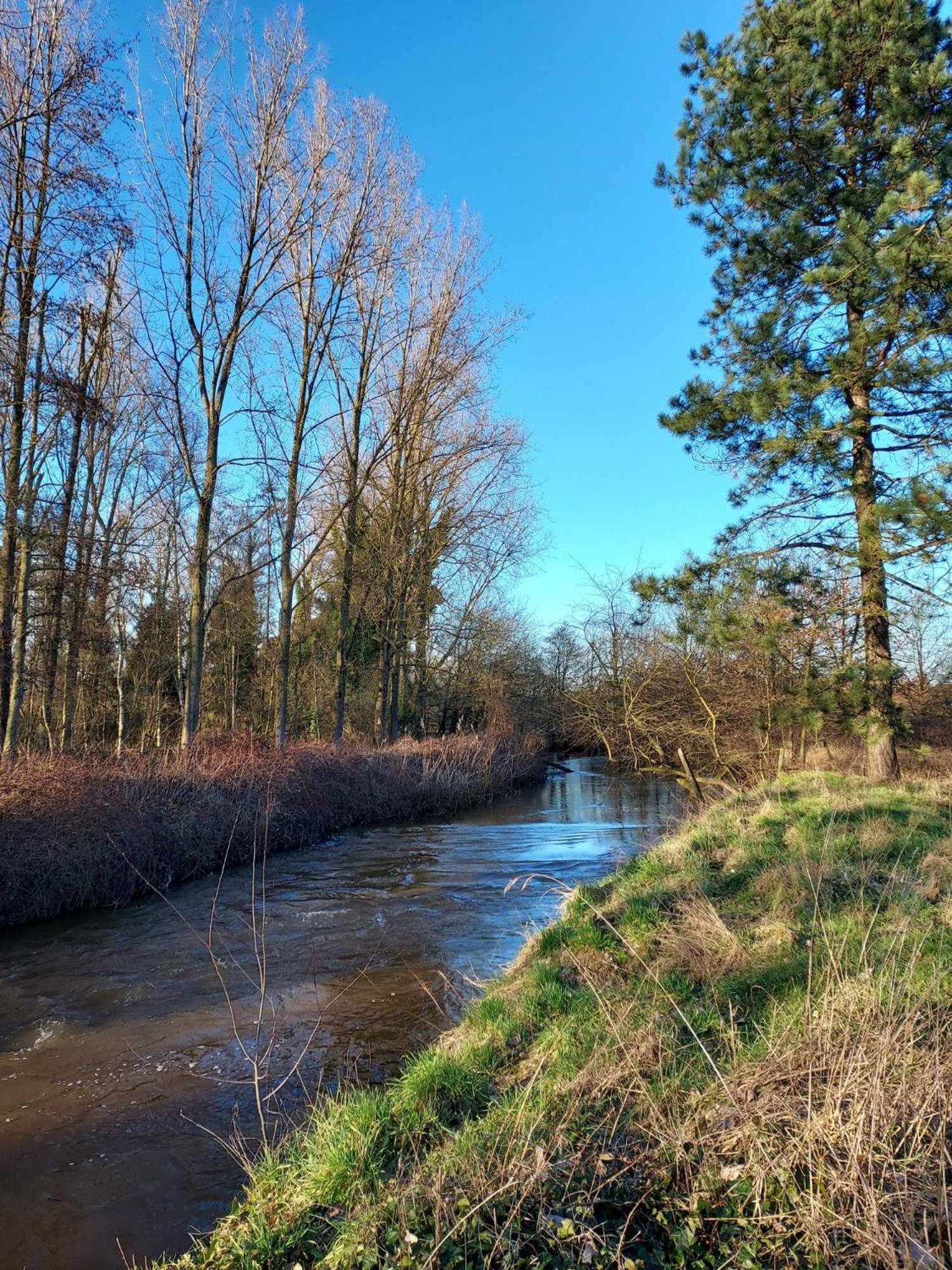 Rustig Gelegen Chalet Solvo Met Terras Aan Het Water Geel Exterior foto